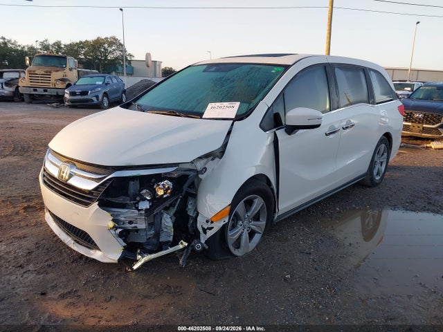 Aukcja sprzedaży 2019 Honda Odyssey, vin: 5FNRL6H70KB103748, numer aukcji: 46202508