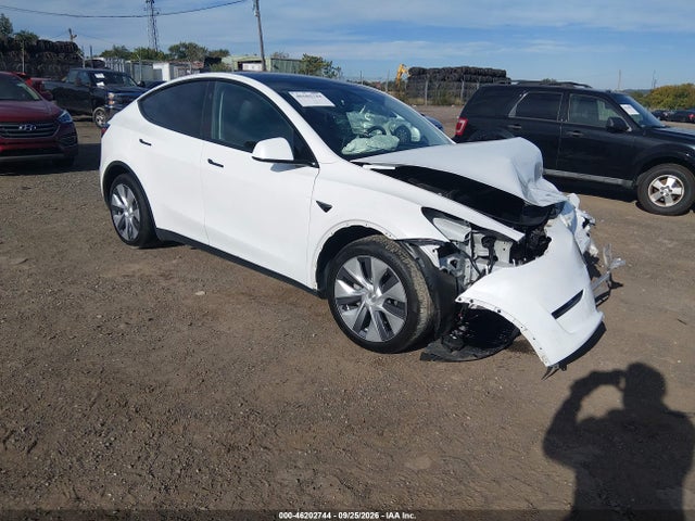 Tesla Model Y Long Range Dual Motor All-wheel Drive 2024 7SAYGDEE3RA262202 главное изображение