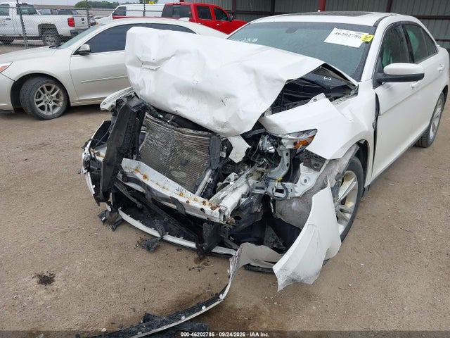 1FAHP2E84EG100440 Ford TAURUS SEL