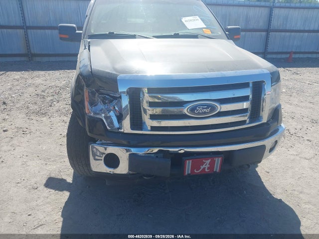 Продажа на аукционе авто 2010 Ford F-150 Fx4/harley-davidson/king Ranch/lariat/platinum/xl/xlt, vin: 1FTFW1EV7AFB35946, номер лота: 46202839