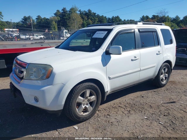 Продажа на аукционе авто 2009 Honda Pilot Ex-l, vin: 5FNYF48629B041925, номер лота: 46202862