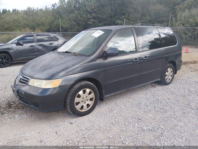 2004 Honda Odyssey Ex მანქანა იყიდება აუქციონზე, vin: 5FNRL186X4B022852, აუქციონის ნომერი: 46203041