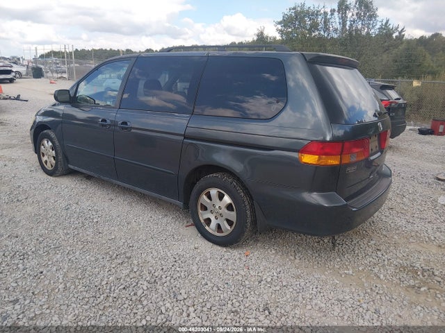 2004 Honda Odyssey Ex მანქანა იყიდება აუქციონზე, vin: 5FNRL186X4B022852, აუქციონის ნომერი: 46203041