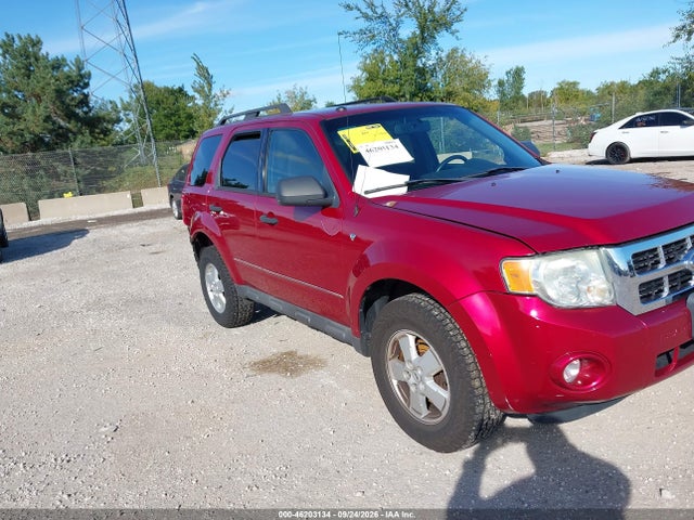 Продаж на аукціоні авто 2009 Ford Escape Xlt, vin: 1FMCU03729KB09311, номер лоту: 46203134