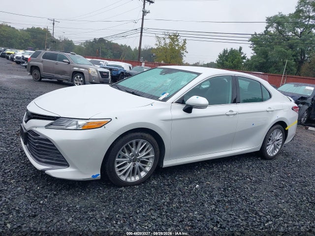 Aukcja sprzedaży 2020 Toyota Camry Xle, vin: 4T1F11AK9LU949990, numer aukcji: 46203327