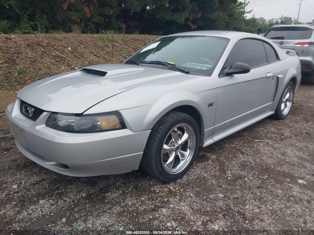 2002 Ford Mustang Gt Deluxe/gt Premium მანქანა იყიდება აუქციონზე, vin: 1FAFP42X22F191434, აუქციონის ნომერი: 46203353