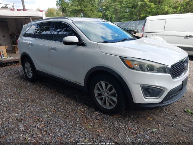 Auction sale of the 2017 Kia Sorento 3.3l Lx, vin: 5XYPGDA52HG280666, lot number: 46203967