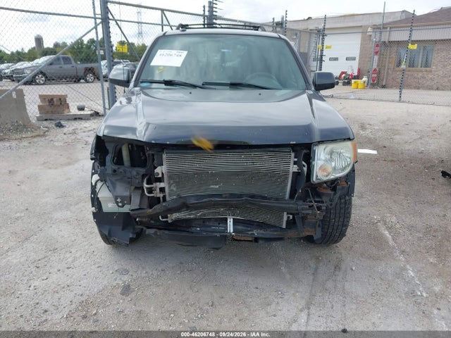 Aukcja sprzedaży 2009 Ford Escape Limited, vin: 1FMCU04G29KC57067, numer aukcji: 46206748
