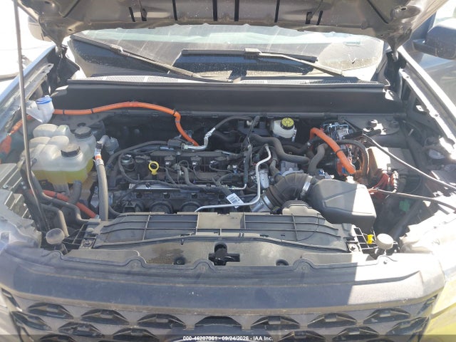 46207061 :رقم المزاد ، 3FTTW8A37SRA79057 vin ، 2025 Ford Maverick Xl مزاد بيع