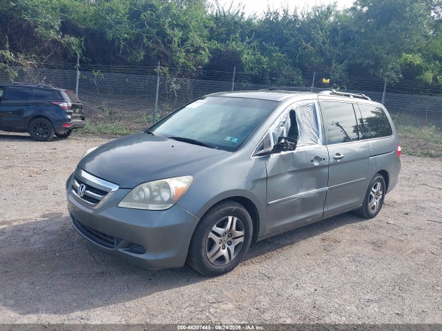 46207445 :رقم المزاد ، 5FNRL386X7B405030 vin ، 2007 Honda Odyssey Ex-l مزاد بيع