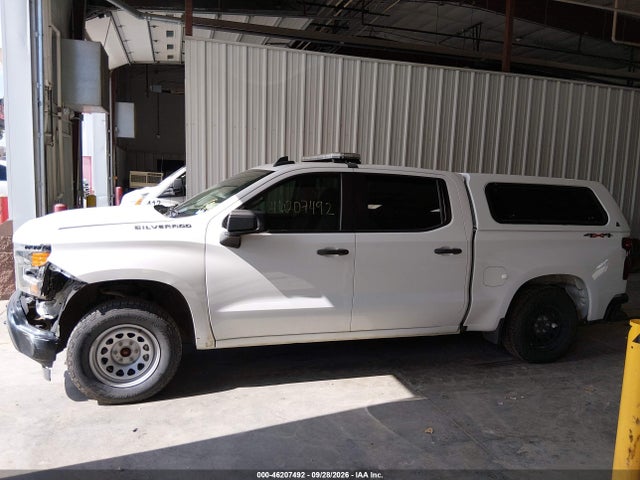 Продаж на аукціоні авто 2024 Chevrolet Silverado 1500 4wd  Short Bed Wt, vin: 2GCUDAED6R1134052, номер лоту: 46207492