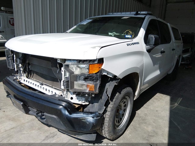 Продаж на аукціоні авто 2024 Chevrolet Silverado 1500 4wd  Short Bed Wt, vin: 2GCUDAED6R1134052, номер лоту: 46207492