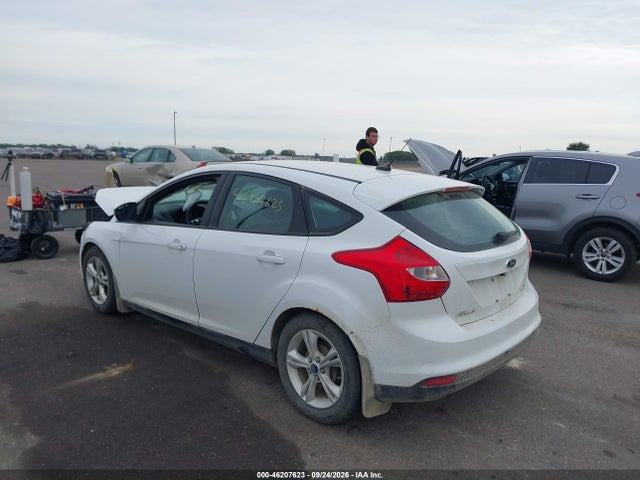 Ford FOCUS SE 2014 1FADP3K29EL131405 Image 3
