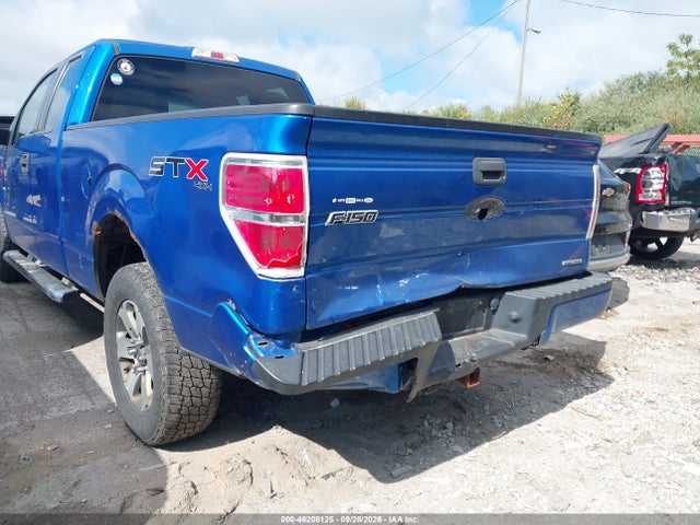 Продаж на аукціоні авто 2013 Ford F-150 Stx, vin: 1FTFX1EF9DFB07804, номер лоту: 46208125