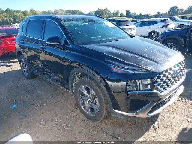 Продаж на аукціоні авто 2023 Hyundai Santa Fe Sel, vin: 5NMS34AJXPH651841, номер лоту: 46209494