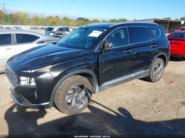 Продаж на аукціоні авто 2023 Hyundai Santa Fe Sel, vin: 5NMS34AJXPH651841, номер лоту: 46209494