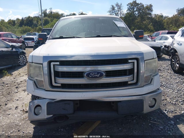 Aukcja sprzedaży 2013 Ford F-150 Xlt, vin: 1FTFX1EF5DKF38342, numer aukcji: 46209976