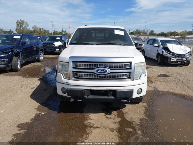 46210402 :رقم المزاد ، 1FTFW1EV1AFB55643 vin ، 2010 Ford F-150 Fx4/harley-davidson/king Ranch/lariat/platinum/xl/xlt مزاد بيع