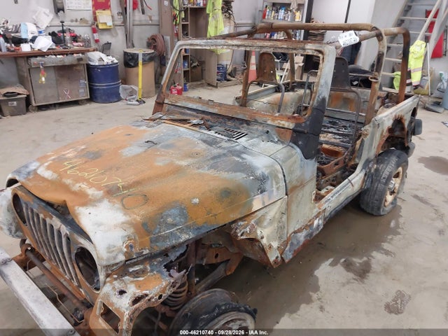 Продаж на аукціоні авто 1997 Jeep Wrangler Se, vin: 1J4FY29P3VP403302, номер лоту: 46210740