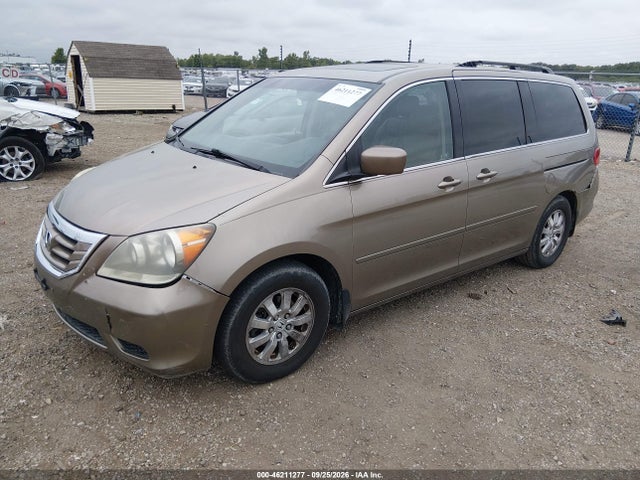 46211277 :رقم المزاد ، 5FNRL38788B405456 vin ، 2008 Honda Odyssey Ex-l مزاد بيع
