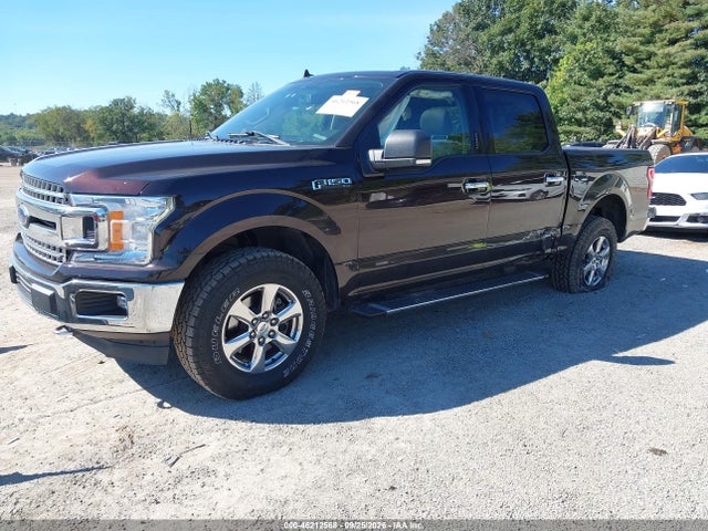 46212568 :رقم المزاد ، 1FTEW1E59KFB89178 vin ، 2019 Ford F-150 Xlt مزاد بيع