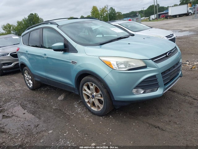 Auction sale of the 2013 Ford Escape Se, vin: 1FMCU0GX1DUB21098, lot number: 46214124