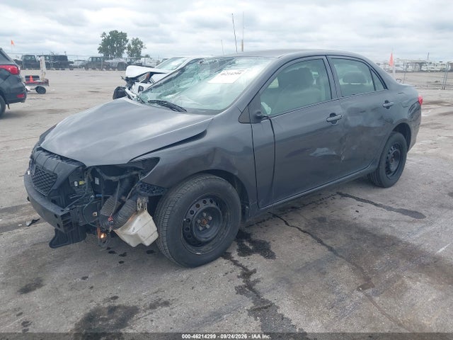 46214299 :رقم المزاد ، JTDBU4EE8A9108324 vin ، 2010 Toyota Corolla Le مزاد بيع