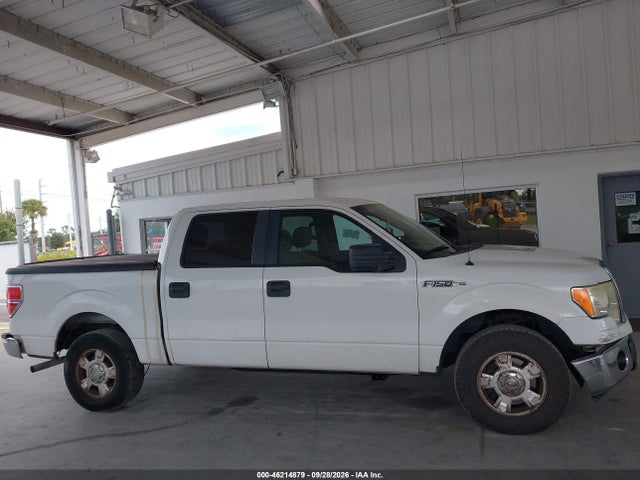 46214879 :رقم المزاد ، 1FTEW1CM0DFA47699 vin ، 2013 Ford F-150 Xlt مزاد بيع