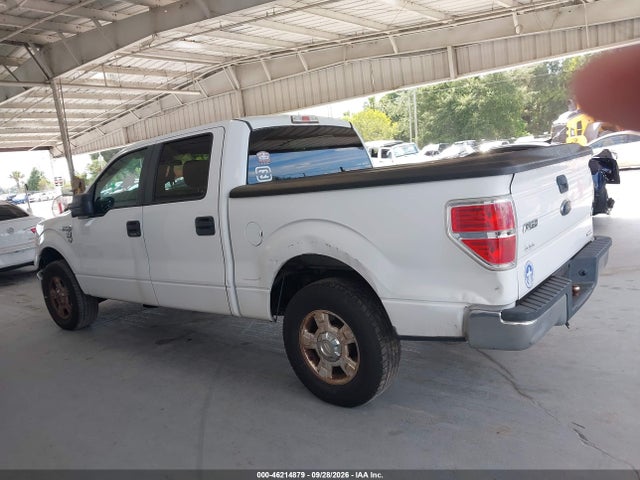 46214879 :رقم المزاد ، 1FTEW1CM0DFA47699 vin ، 2013 Ford F-150 Xlt مزاد بيع