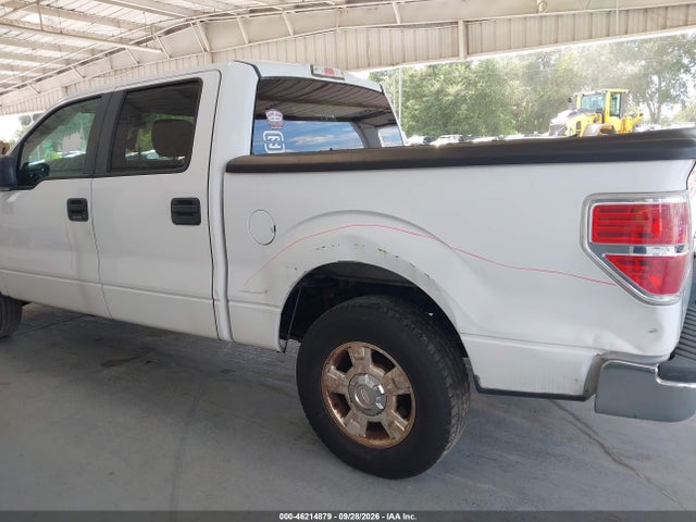 46214879 :رقم المزاد ، 1FTEW1CM0DFA47699 vin ، 2013 Ford F-150 Xlt مزاد بيع