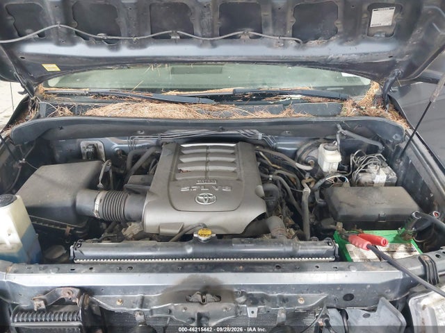 46215442 :رقم المزاد ، 5TFMY5F15AX117055 vin ، 2010 Toyota Tundra Grade 5.7l V8 مزاد بيع
