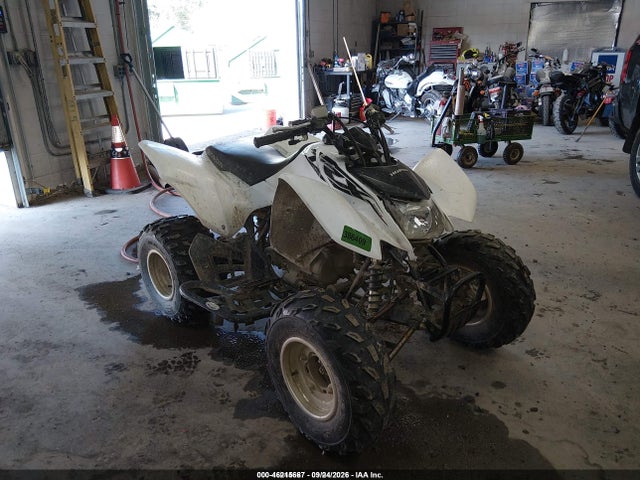 2017 Honda Trx250 X მანქანა იყიდება აუქციონზე, vin: 1HFTE2705H4601415, აუქციონის ნომერი: 46215667