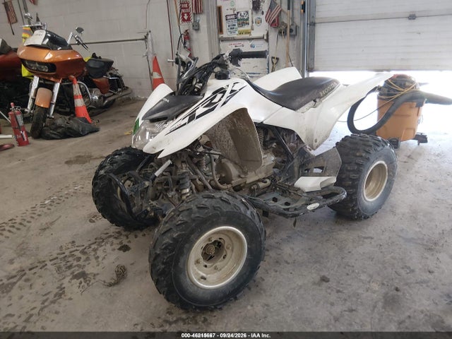 Auction sale of the 2017 Honda Trx250 X, vin: 1HFTE2705H4601415, lot number: 46215667