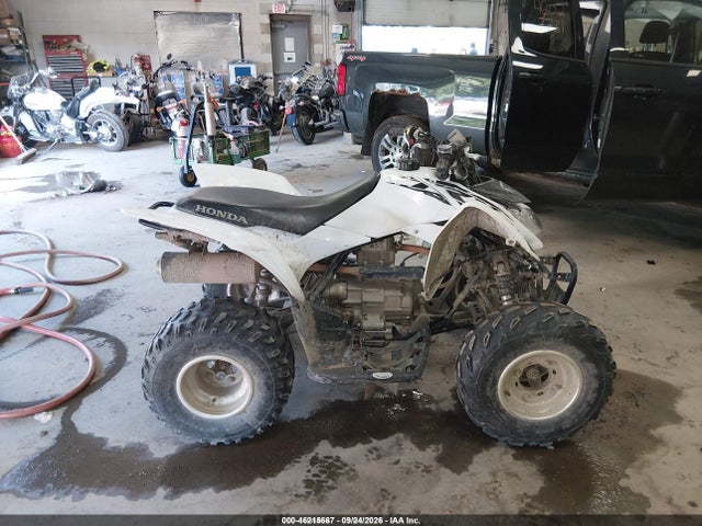 Auction sale of the 2017 Honda Trx250 X, vin: 1HFTE2705H4601415, lot number: 46215667