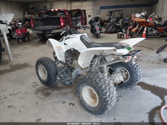 Auction sale of the 2017 Honda Trx250 X, vin: 1HFTE2705H4601415, lot number: 46215667