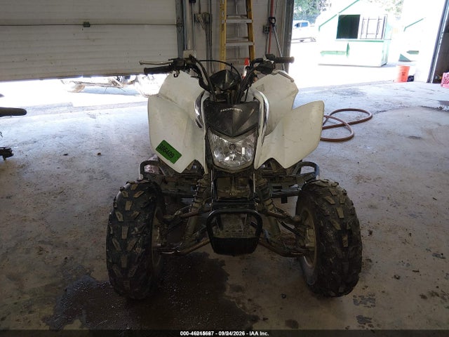 Auction sale of the 2017 Honda Trx250 X, vin: 1HFTE2705H4601415, lot number: 46215667