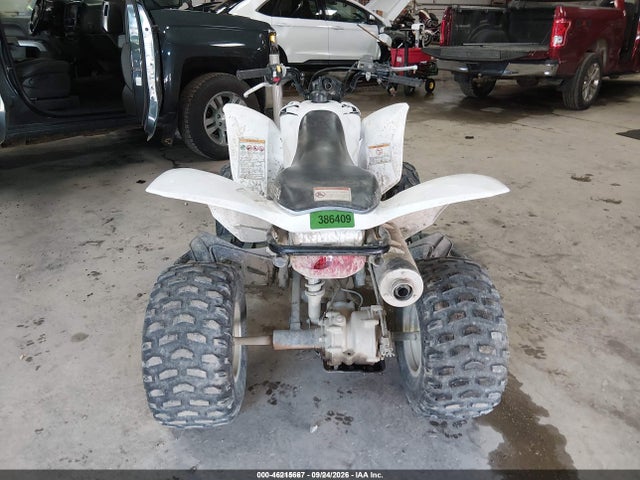 Auction sale of the 2017 Honda Trx250 X, vin: 1HFTE2705H4601415, lot number: 46215667
