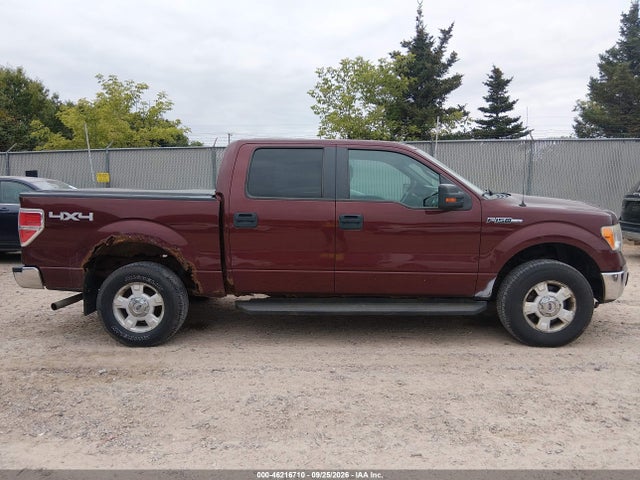 46216710 :رقم المزاد ، 1FTFW1EV3AKB83595 vin ، 2010 Ford F-150 Fx4/harley-davidson/king Ranch/lariat/platinum/xl/xlt مزاد بيع