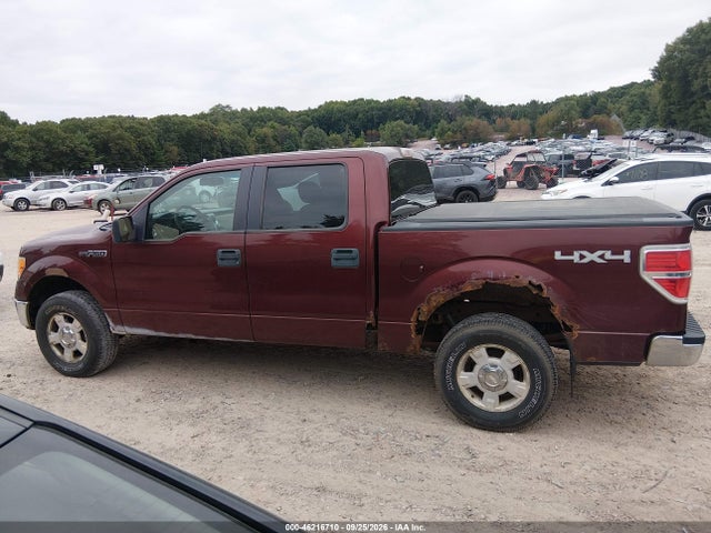 46216710 :رقم المزاد ، 1FTFW1EV3AKB83595 vin ، 2010 Ford F-150 Fx4/harley-davidson/king Ranch/lariat/platinum/xl/xlt مزاد بيع