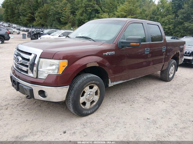 46216710 :رقم المزاد ، 1FTFW1EV3AKB83595 vin ، 2010 Ford F-150 Fx4/harley-davidson/king Ranch/lariat/platinum/xl/xlt مزاد بيع
