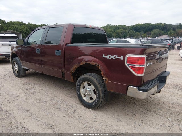 46216710 :رقم المزاد ، 1FTFW1EV3AKB83595 vin ، 2010 Ford F-150 Fx4/harley-davidson/king Ranch/lariat/platinum/xl/xlt مزاد بيع