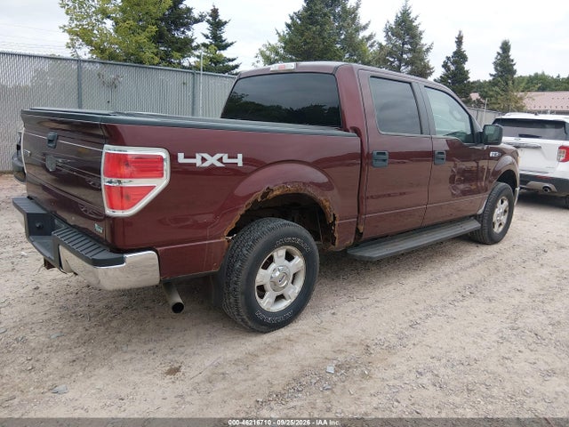 46216710 :رقم المزاد ، 1FTFW1EV3AKB83595 vin ، 2010 Ford F-150 Fx4/harley-davidson/king Ranch/lariat/platinum/xl/xlt مزاد بيع