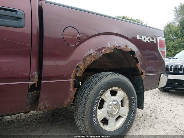 46216710 :رقم المزاد ، 1FTFW1EV3AKB83595 vin ، 2010 Ford F-150 Fx4/harley-davidson/king Ranch/lariat/platinum/xl/xlt مزاد بيع