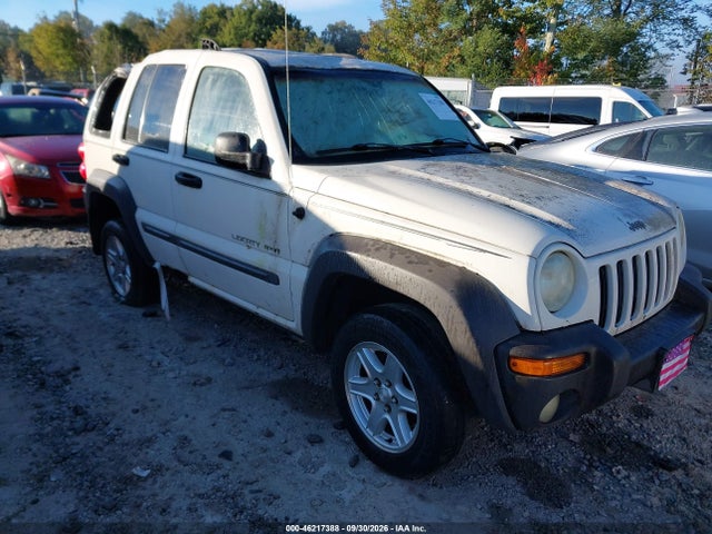 Aukcja sprzedaży 2002 Jeep Liberty Sport, vin: 1J4GL48K42W163702, numer aukcji: 46217388