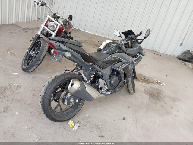 Suzuki GSX250R 2018 LC6DN11A3J1100987 Image 4