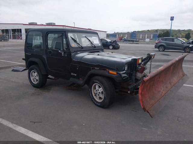 1995 Jeep Wrangler / Yj Se მანქანა იყიდება აუქციონზე, vin: 1J4FY29S2SP298655, აუქციონის ნომერი: 46219077