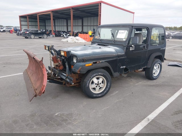 Продажа на аукционе авто 1995 Jeep Wrangler / Yj Se, vin: 1J4FY29S2SP298655, номер лота: 46219077