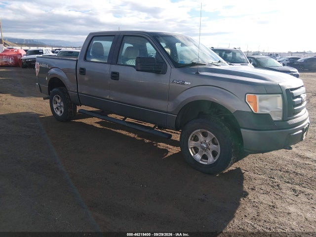 Продаж на аукціоні авто 2010 Ford F-150 Xl/xlt, vin: 1FTEW1E80AFA92038, номер лоту: 46219400