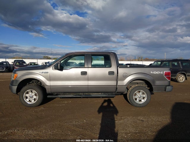 Продаж на аукціоні авто 2010 Ford F-150 Xl/xlt, vin: 1FTEW1E80AFA92038, номер лоту: 46219400
