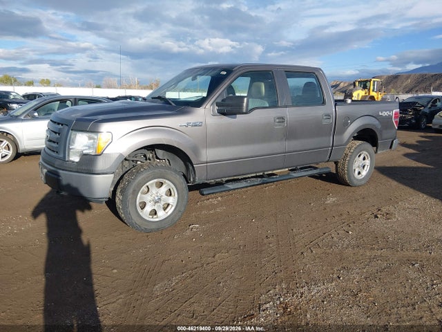Продаж на аукціоні авто 2010 Ford F-150 Xl/xlt, vin: 1FTEW1E80AFA92038, номер лоту: 46219400